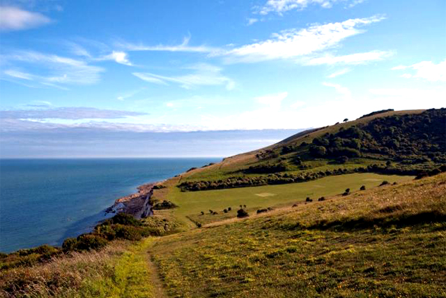 商標(biāo)注冊類別